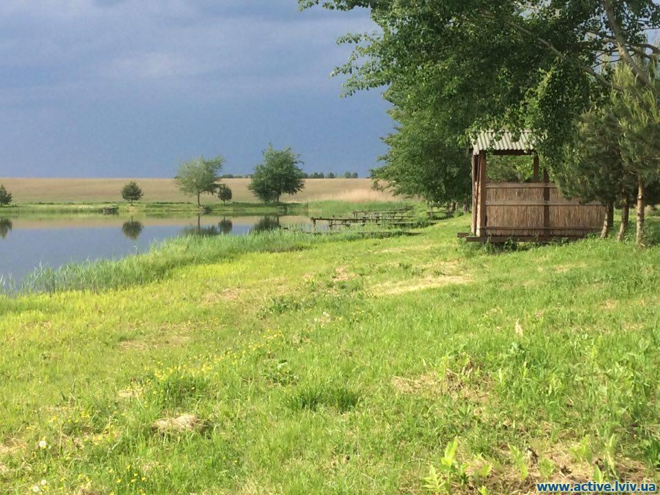 Куровичі